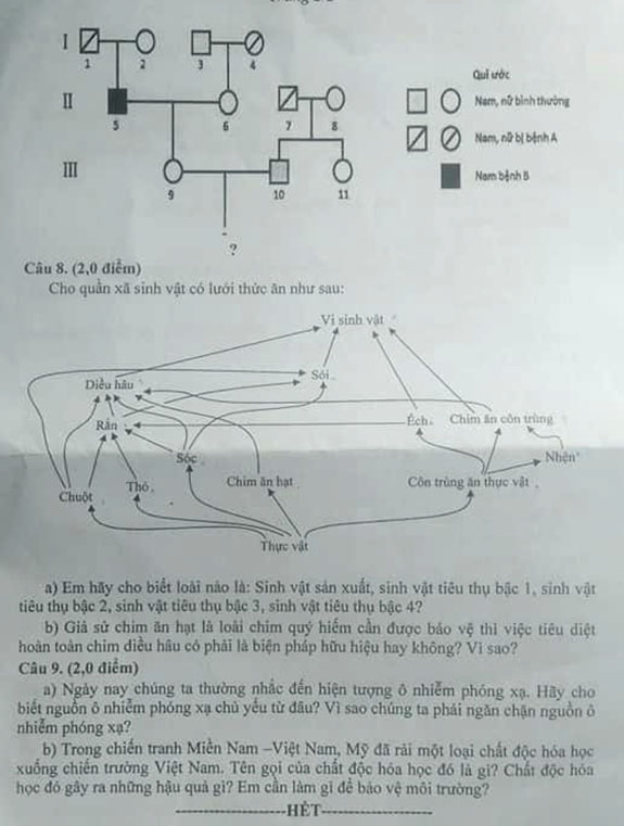 Sinh Kien Giang 2