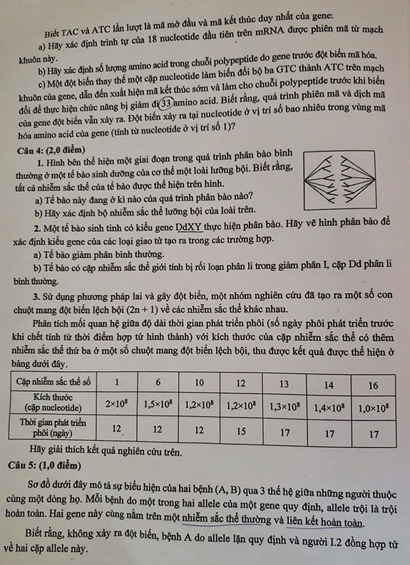sinh hy 2