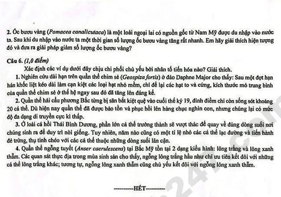 sinh hy 3